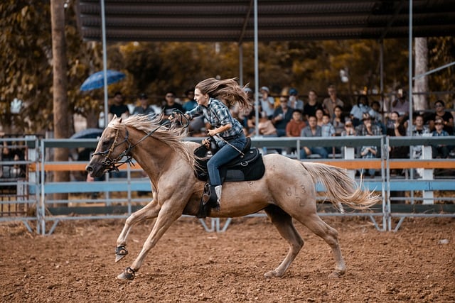 Cowboylaarzen: stijlvol en tijdloos