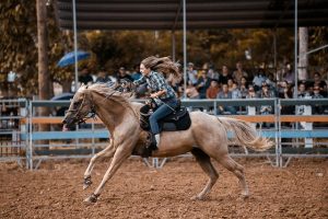 Cowboylaarzen: stijlvol en tijdloos